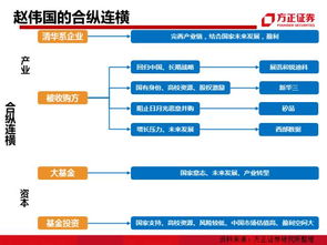 安邦 海航 中植...解密中国最凶猛的9大派系资本模式